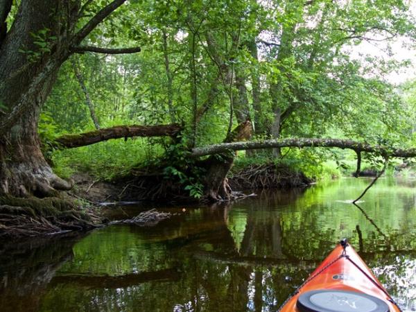 Canoeing & wild swimming vacation in Poland
