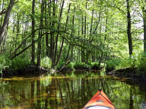 Canoeing & wild swimming vacation in Poland