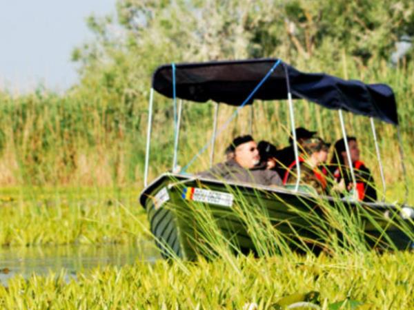 Danube Delta birdwatching in Romania