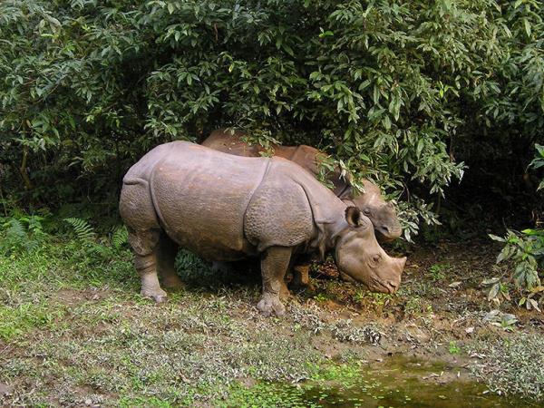 Nepal highlights tour