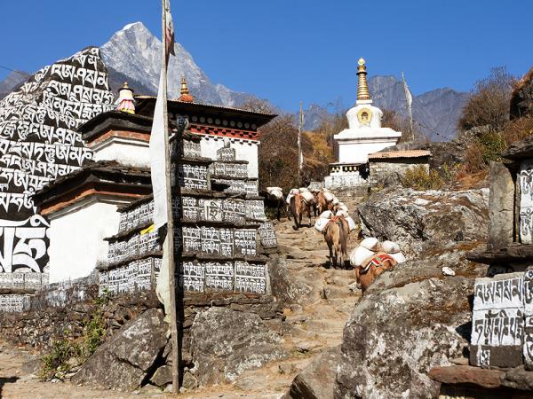 Everest panorama trek in Nepal