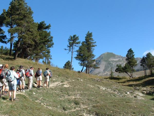 Wildlife and walking vacation in France