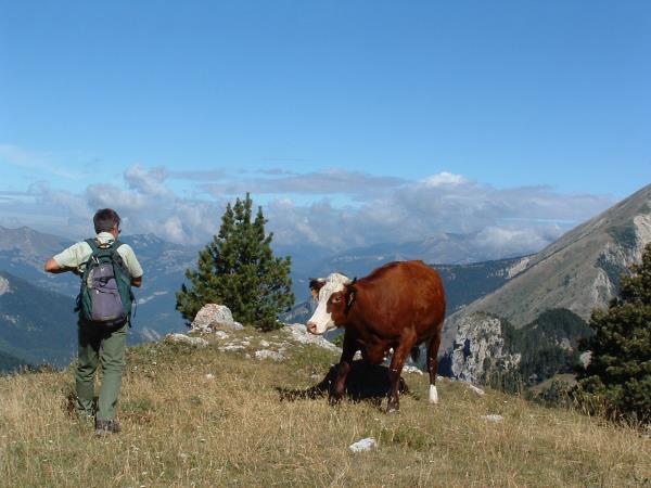 Wildlife and walking vacation in France