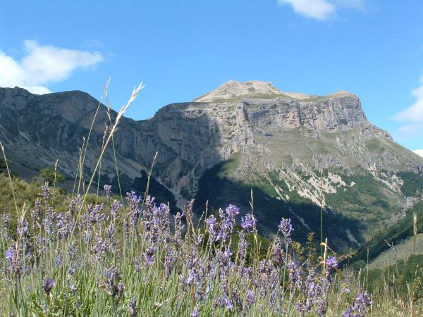 Wildlife and walking vacation in France