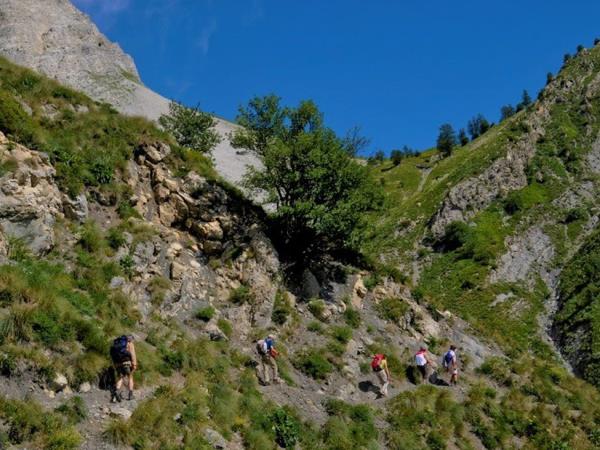 Wildlife and walking vacation in France