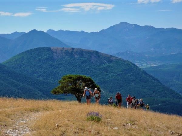 Wildlife and walking vacation in France