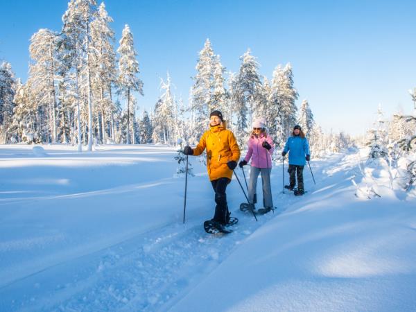 Family winter activity vacation in Finland