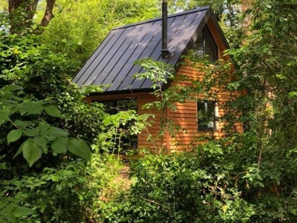 Woodland cabin in the South Downs, England