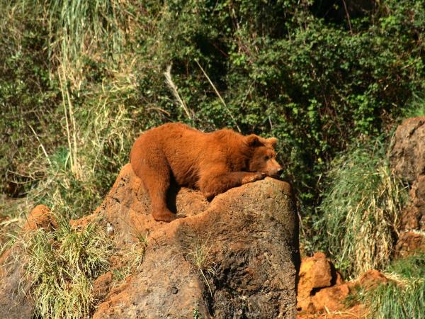 Spanish wildlife tour