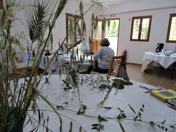 Painting vacation in Greece