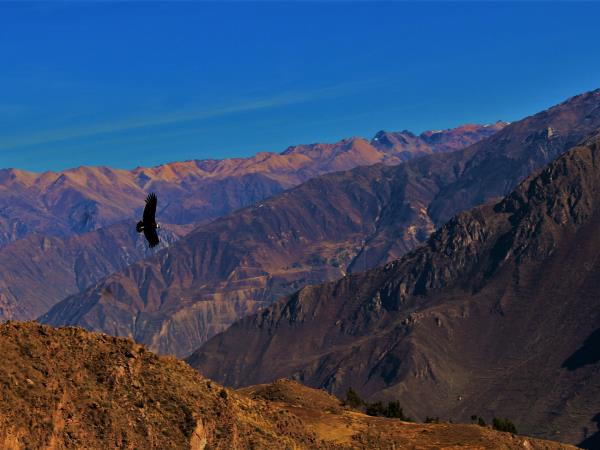 Highlights of Peru vacations