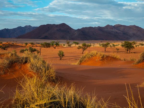 Namibia tour, self drive vacation