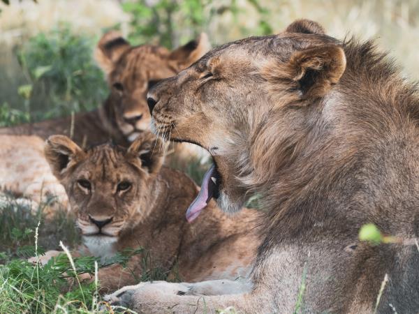 Namibia tour, self drive vacation