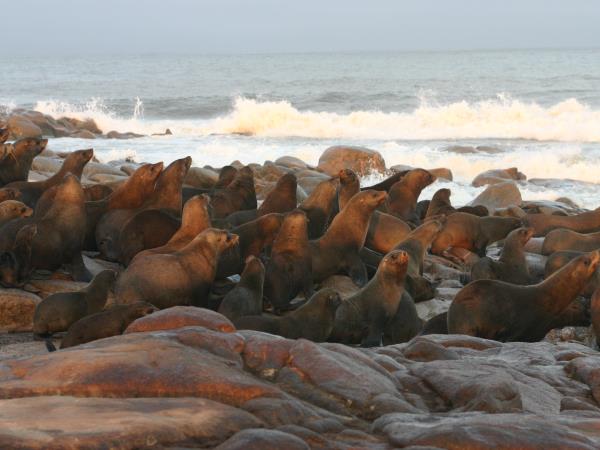 Namibia tour, self drive vacation