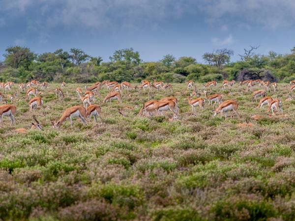 Namibia tour, self drive vacation