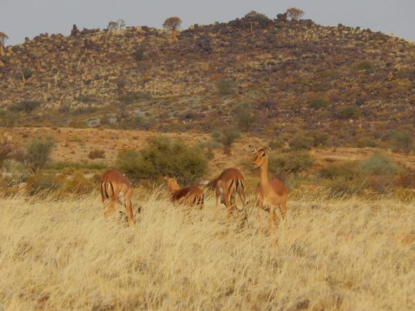 Namibia tour, self drive vacation