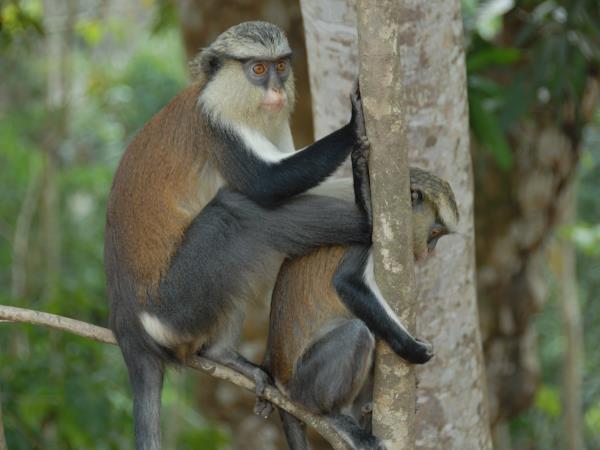 Ghana small group tour