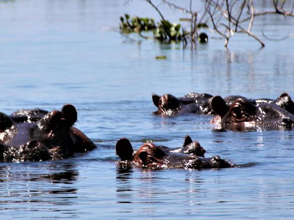 Kenya cultural vacations, insights of Kenyan life