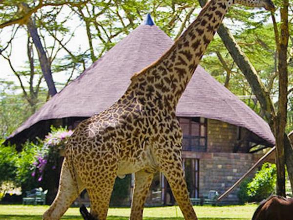 Kenya cultural vacations, insights of Kenyan life