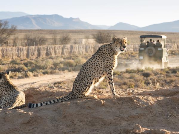 Family vacation in South Africa