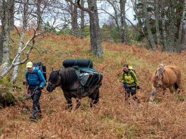 Cairngorms glamping and hiking vacation in Scotland