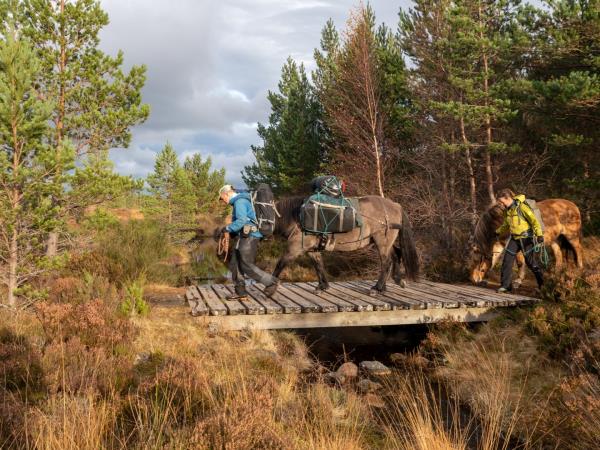 Cairngorms glamping and hiking vacation in Scotland