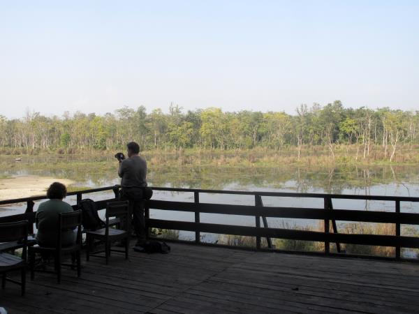 Nepal luxury wildlife safari, Chitwan and Bardia