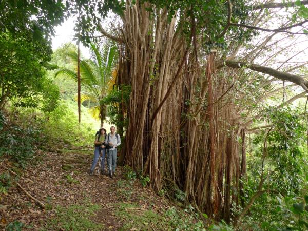 Dominica adventure vacation