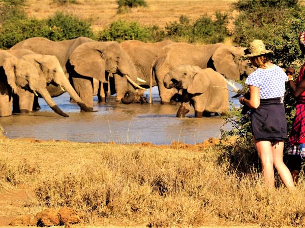 Kenyan culture and wildlife vacation