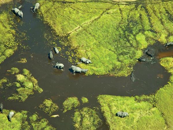 Botswana honeymoon safari vacation