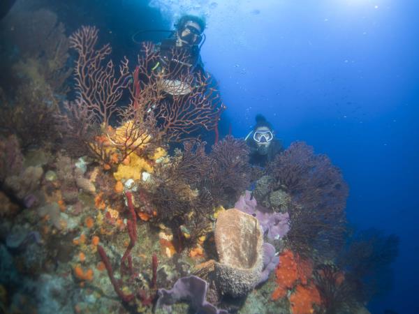 Dominica adventure vacation