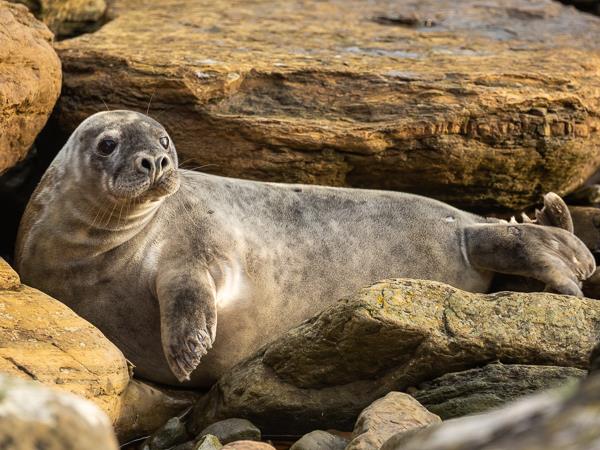 Scotland photography tour