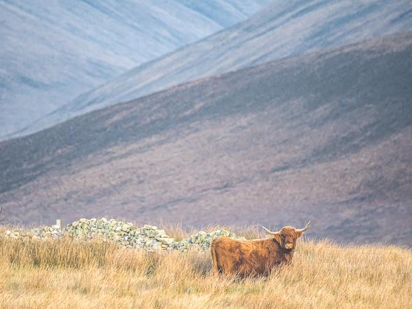 Outer Hebrides photography vacation in Scotland