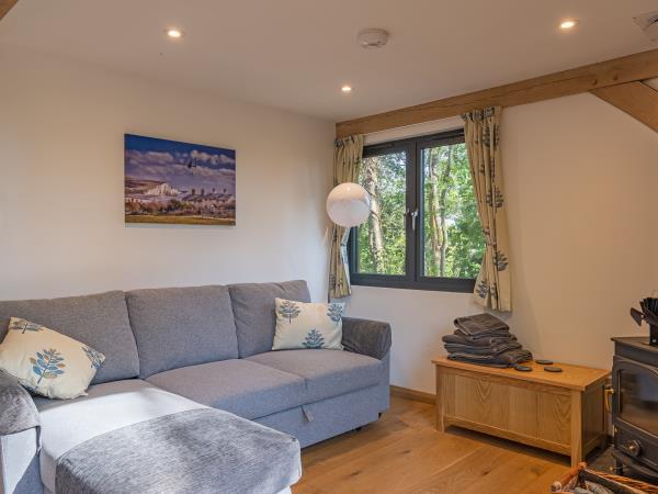 South Downs cabin with hot tub
