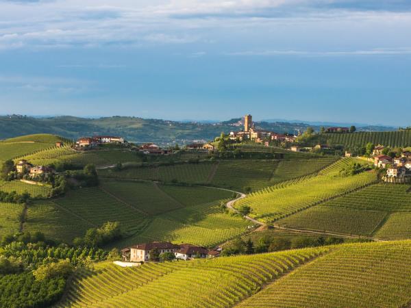 Italy food vacation, tailor made