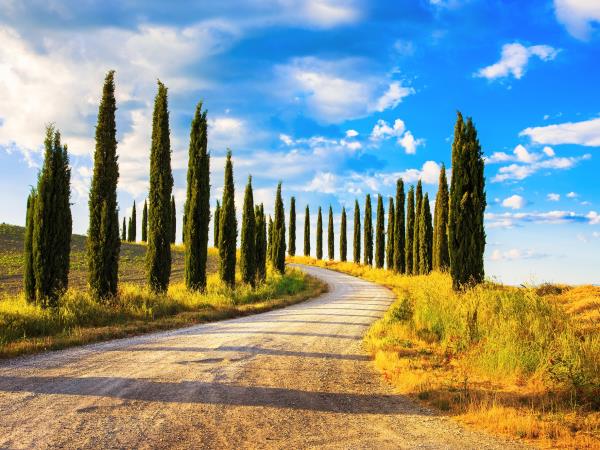 Italy food vacation, tailor made
