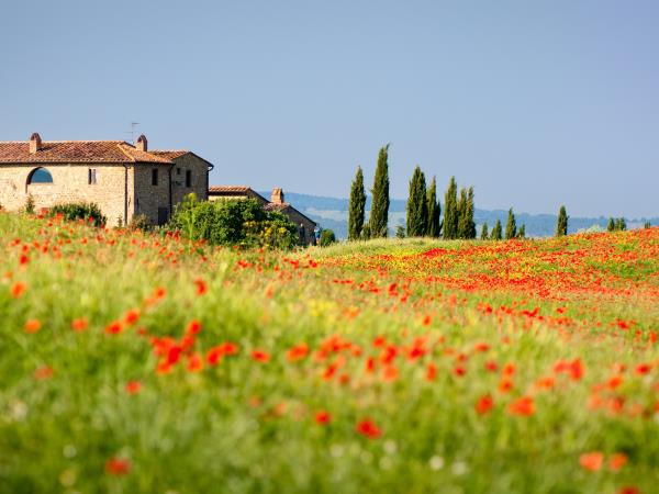Italy food vacation, tailor made