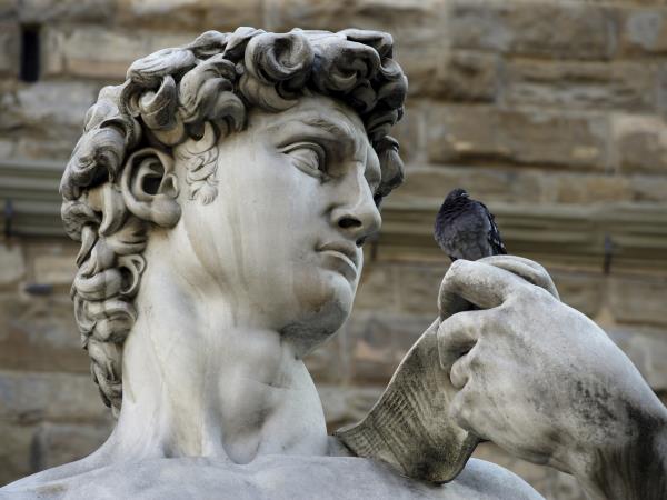 Italy food vacation, tailor made