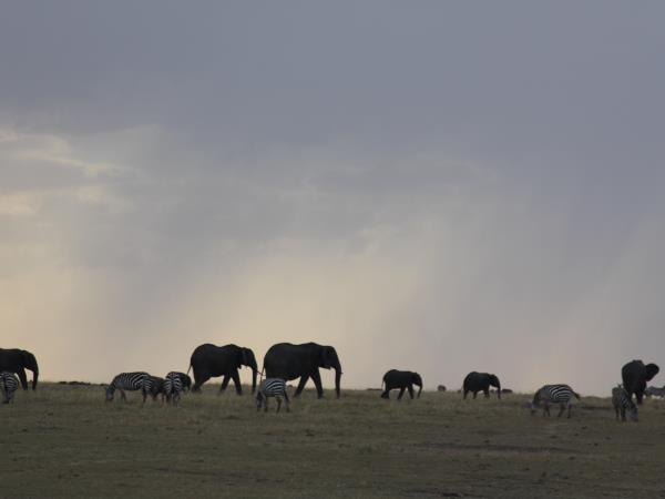 Tanzania wildlife and culture vacation