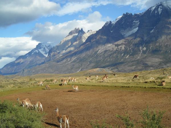 Self guided Patagonia vacation