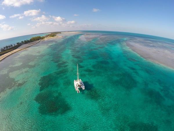 Swim with dolphins and sharks in Bahamas