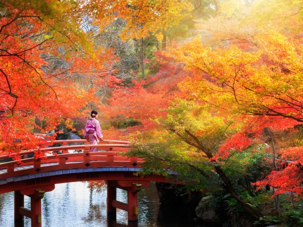 Japan photo tour in autumn foliage season