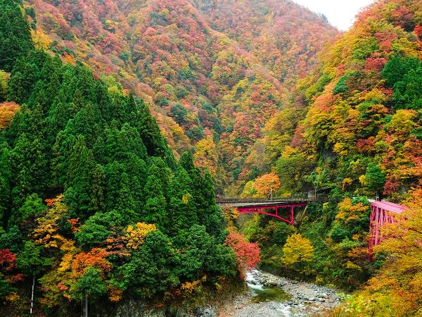 Japan photo tour in autumn foliage season