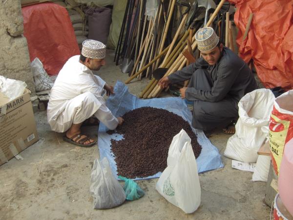 Oman short tour, tailor made