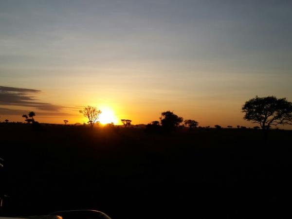 Tanzania wildlife vacations