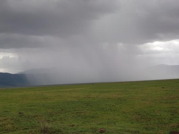 Tanzania wildlife vacations