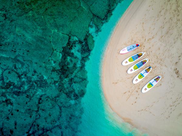 Swim with whales in Tonga