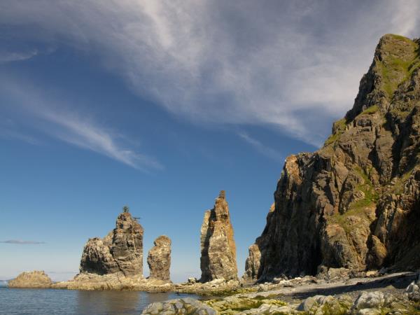 Shantar Archipelago wildlife cruise in Russia