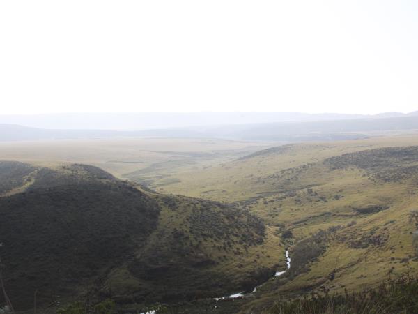 Tanzania highlights safari