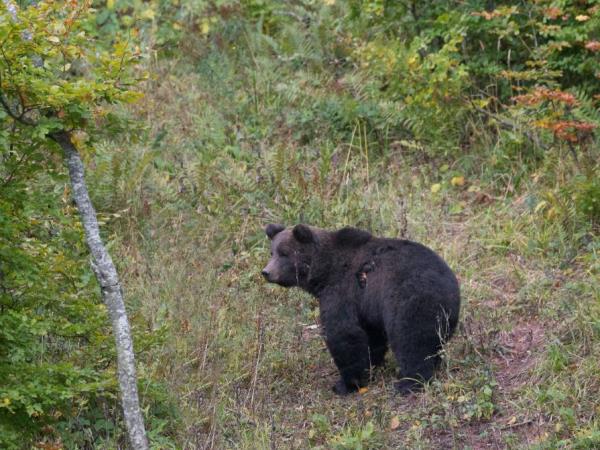 Croatia hiking and wildlife vacation